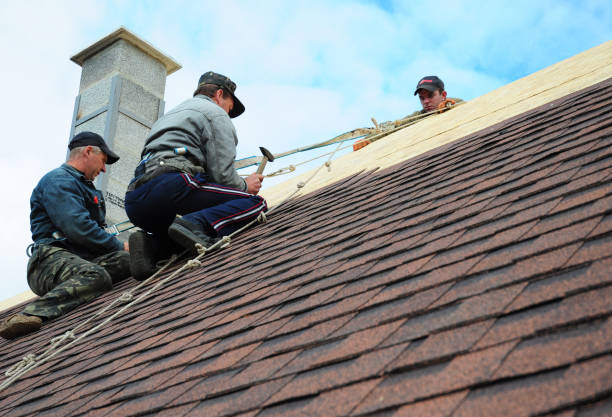 Best Roof Gutter Cleaning  in Hughestown, PA