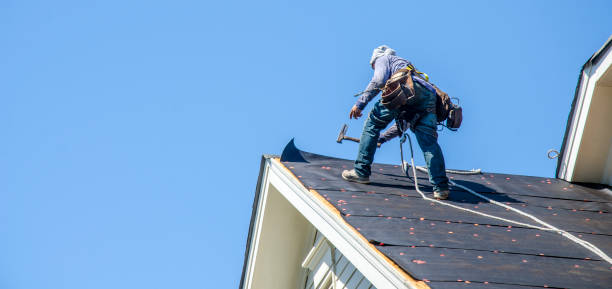 Best Roof Gutter Cleaning  in Hughestown, PA